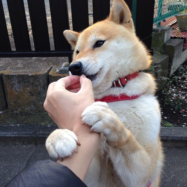 无锋阵的喘息，沉默的震撼！孔德高能输出改写西德战术对话