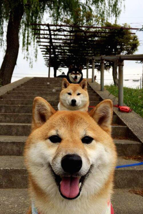 F1新赛季揭幕战之夜，拉文个人能力的完美绽放