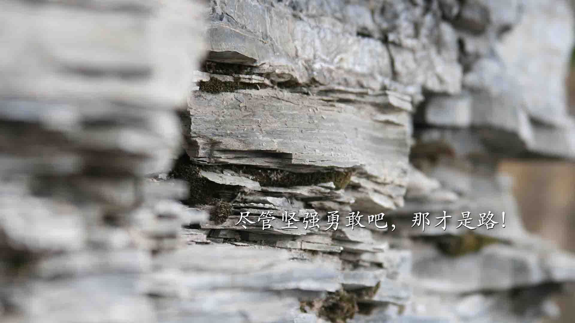 唯一性之役,2026世界杯G组,布罗佐维奇用永动机撕开北欧铁幕,奥地利在凌迟中险胜