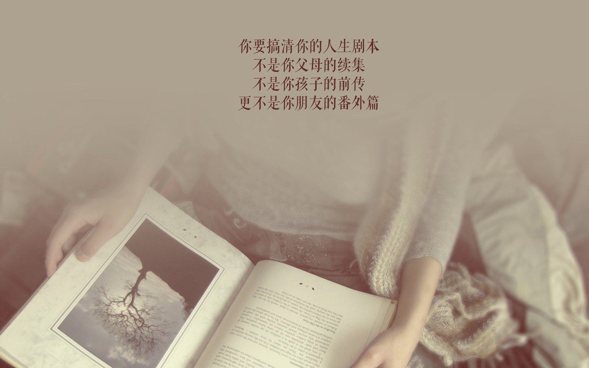 唯一之影,迪亚斯与那场撕裂时间的逆光战役